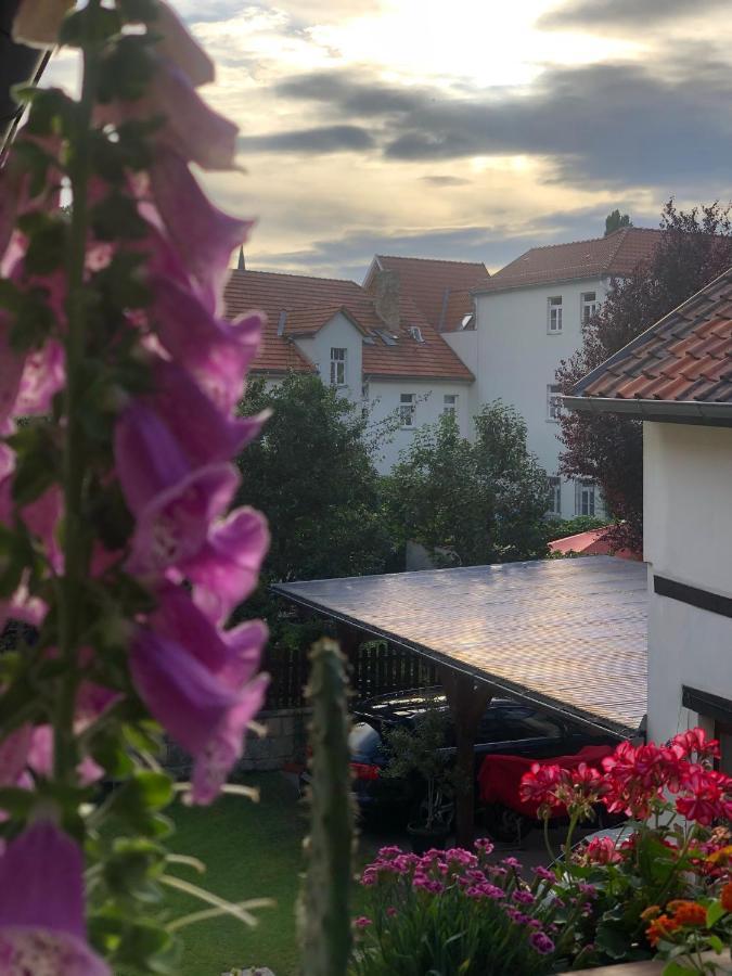 Ferienwohnung Am Mathildenbrunnen groß Quedlinburg Exterior foto